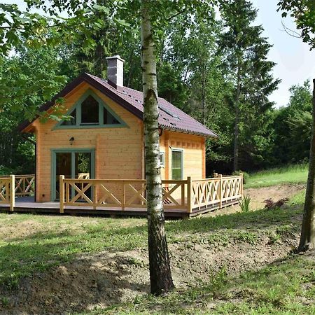Ogrod Shinrin Yoku Villa Srokowo ภายนอก รูปภาพ