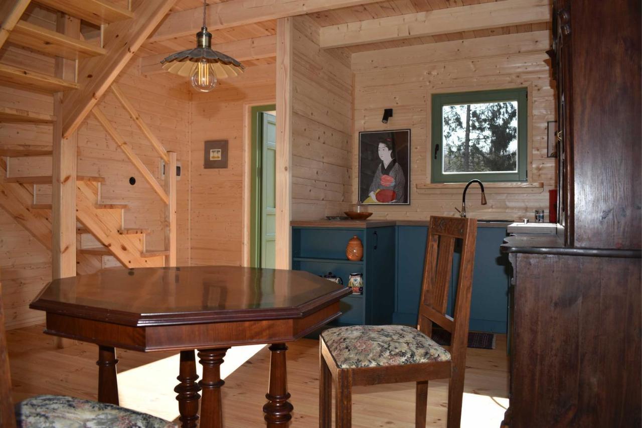 Ogrod Shinrin Yoku Villa Srokowo ภายนอก รูปภาพ