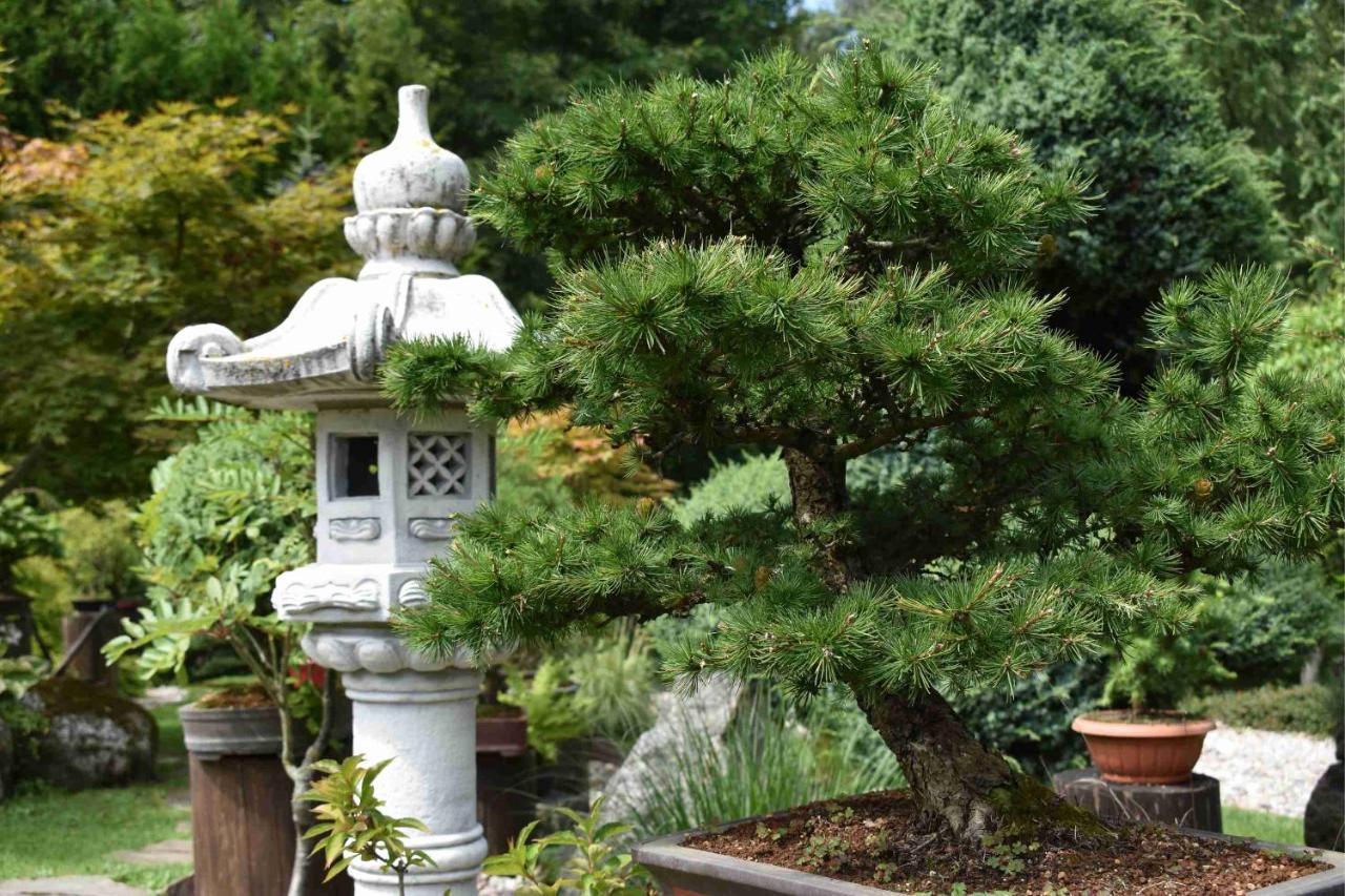 Ogrod Shinrin Yoku Villa Srokowo ภายนอก รูปภาพ