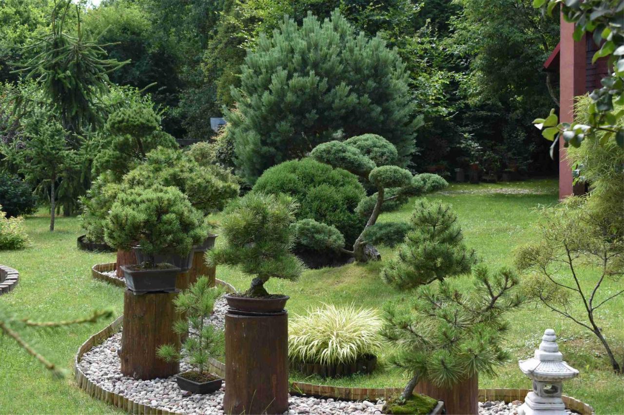 Ogrod Shinrin Yoku Villa Srokowo ภายนอก รูปภาพ