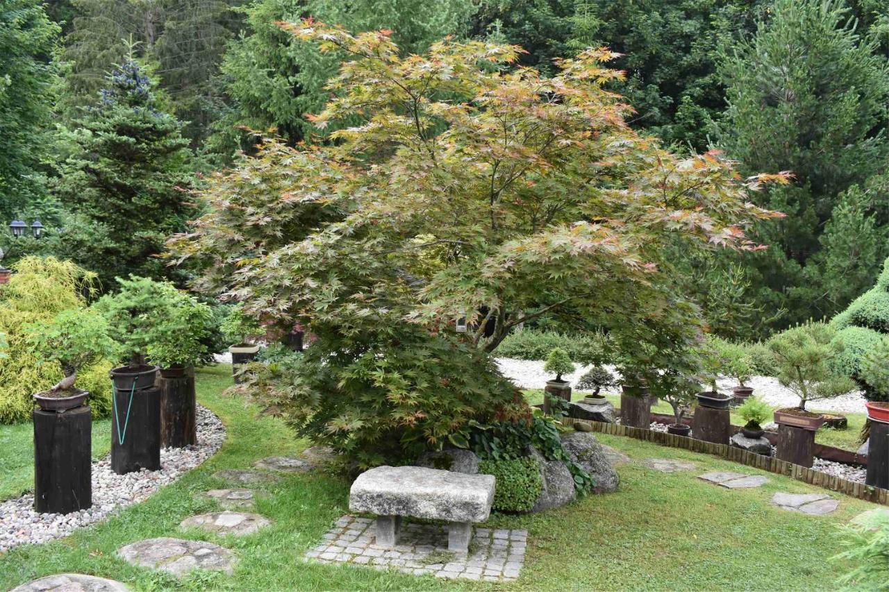 Ogrod Shinrin Yoku Villa Srokowo ภายนอก รูปภาพ
